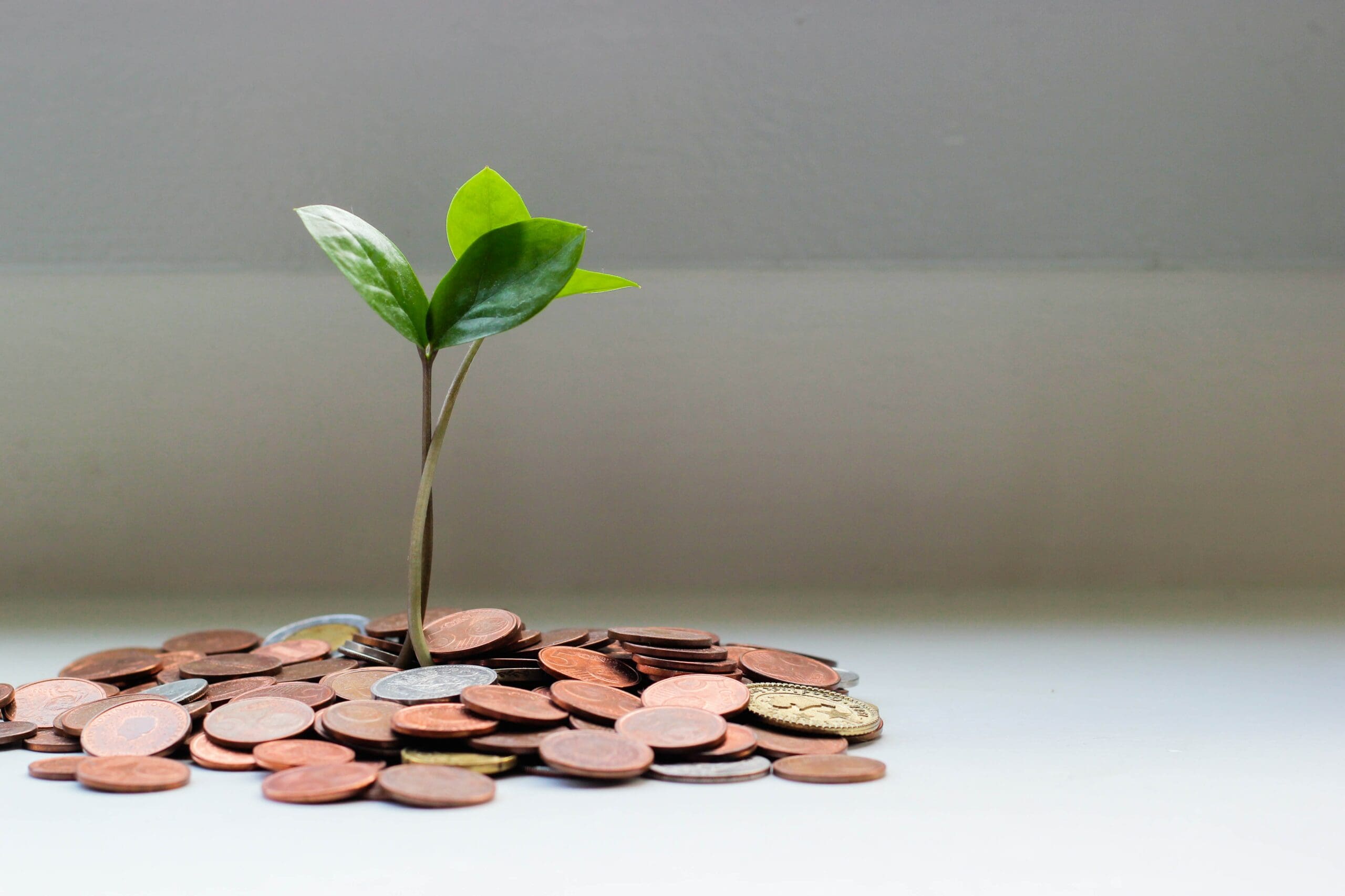Our (unexited) startup portfolio – what the April ’23 valuations say Featured Image